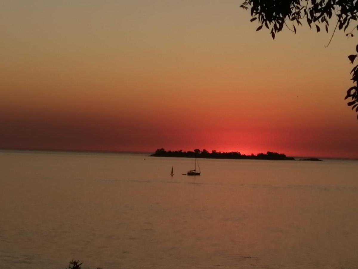 Apartament Luz De Jacinta Colonia del Sacramento Zewnętrze zdjęcie