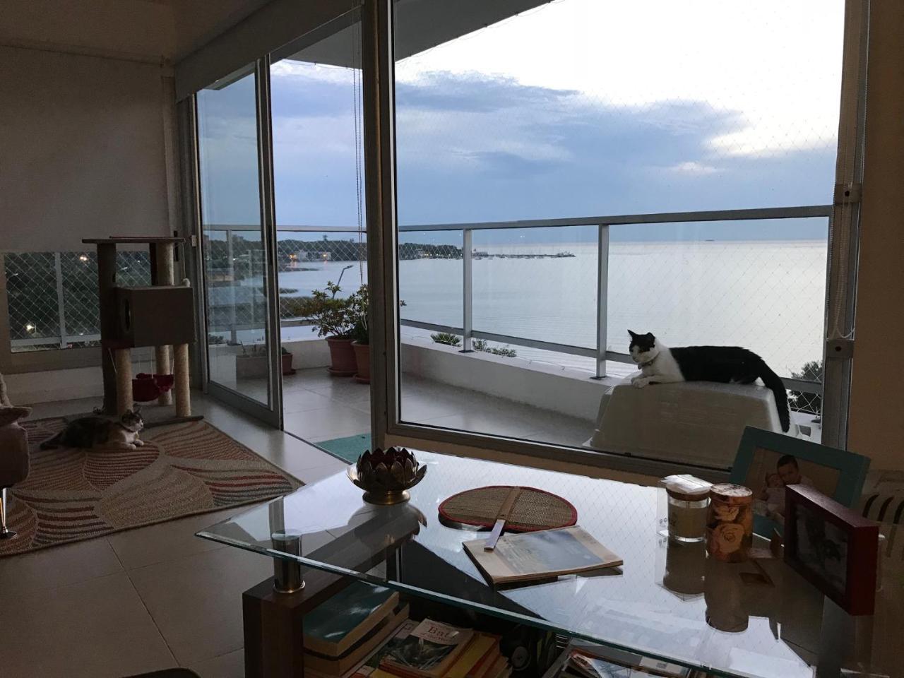 Apartament Luz De Jacinta Colonia del Sacramento Zewnętrze zdjęcie